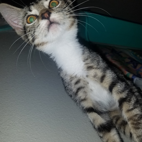 Meet your Posher, Mstng97lvr run by Sarah - Picture 8 of 10